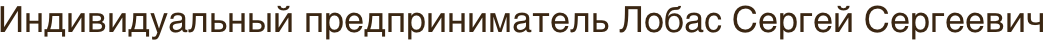 Полное наименование продавца — на изображении